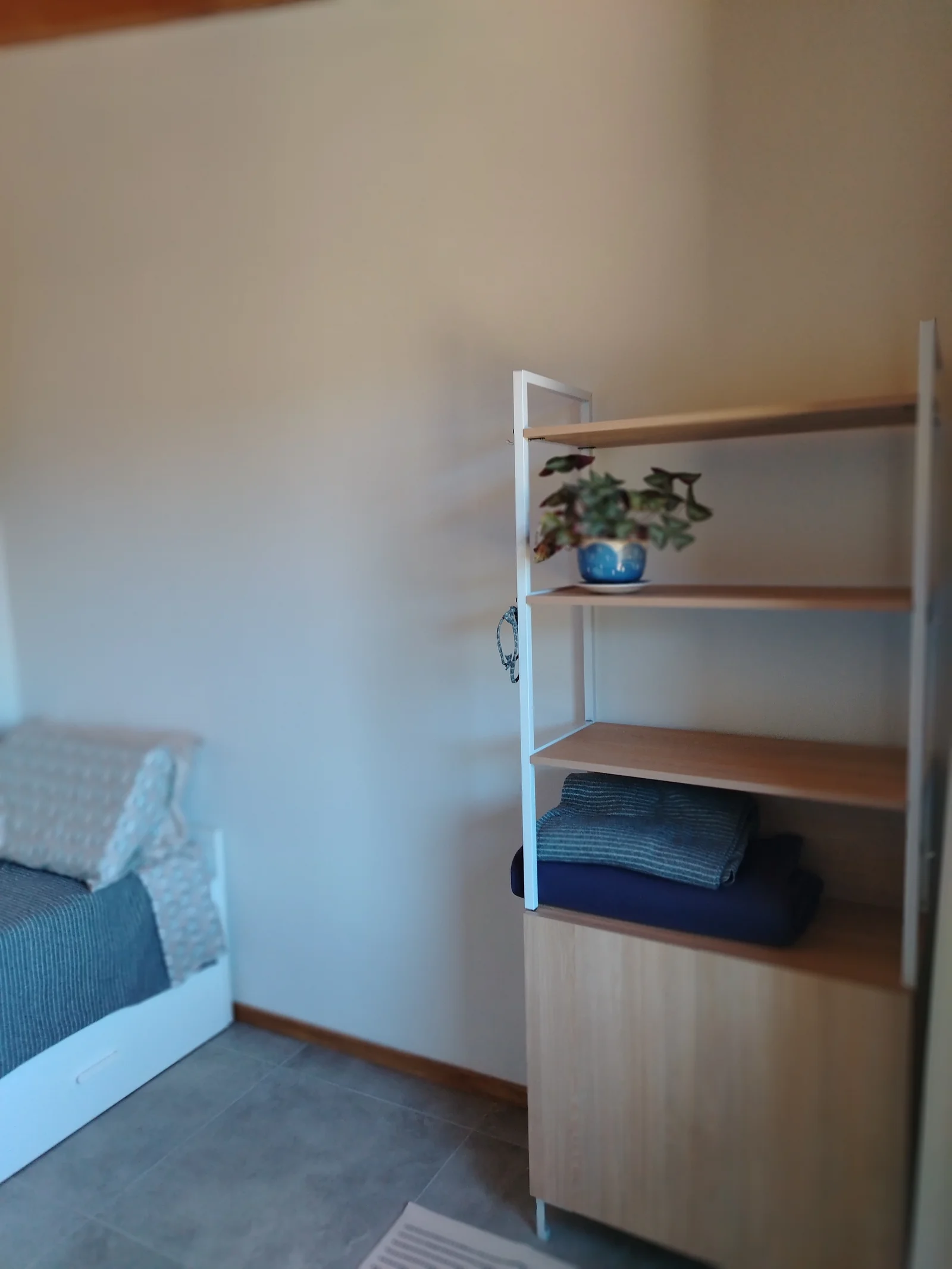 Huet huet - foto 13