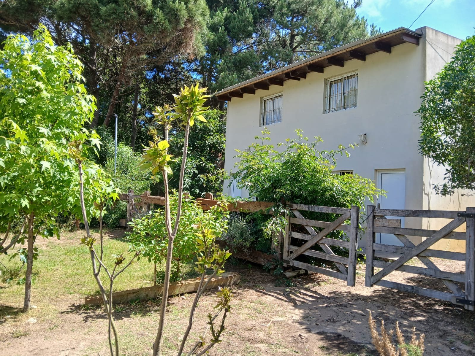 La milu  - foto 1