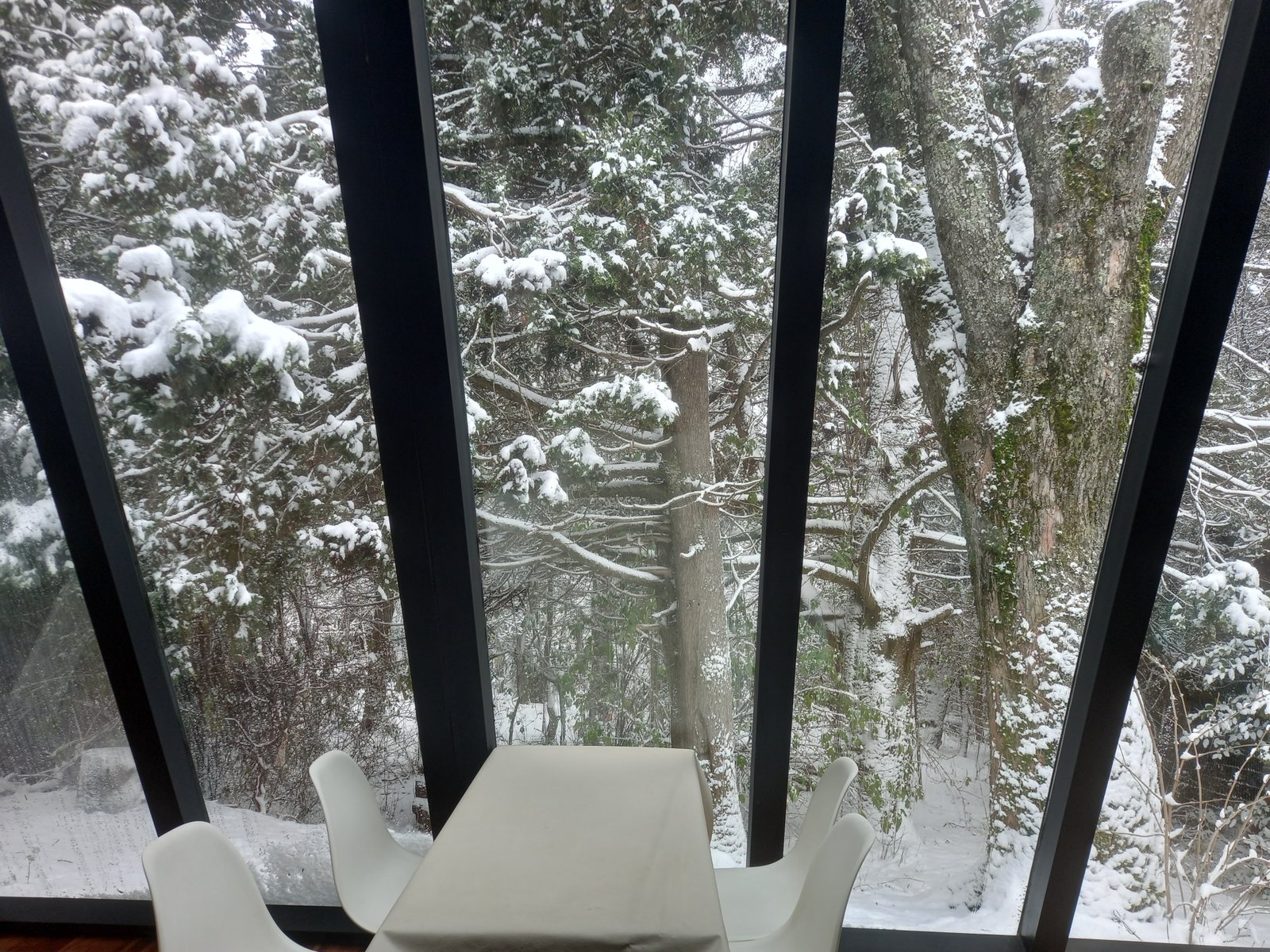 Casa Inmersa en el Bosque  - foto 4
