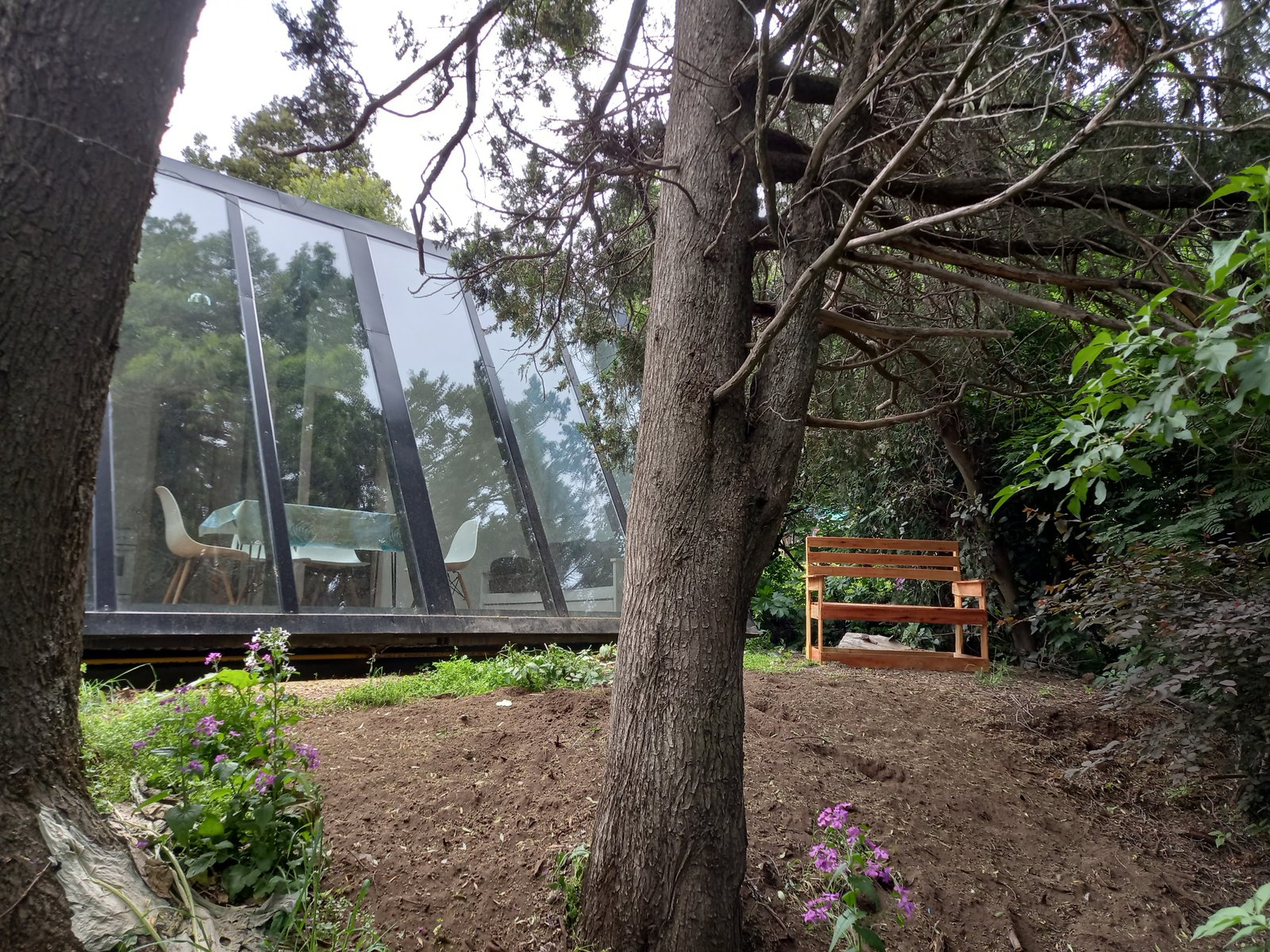 Casa Inmersa en el Bosque  - foto 7