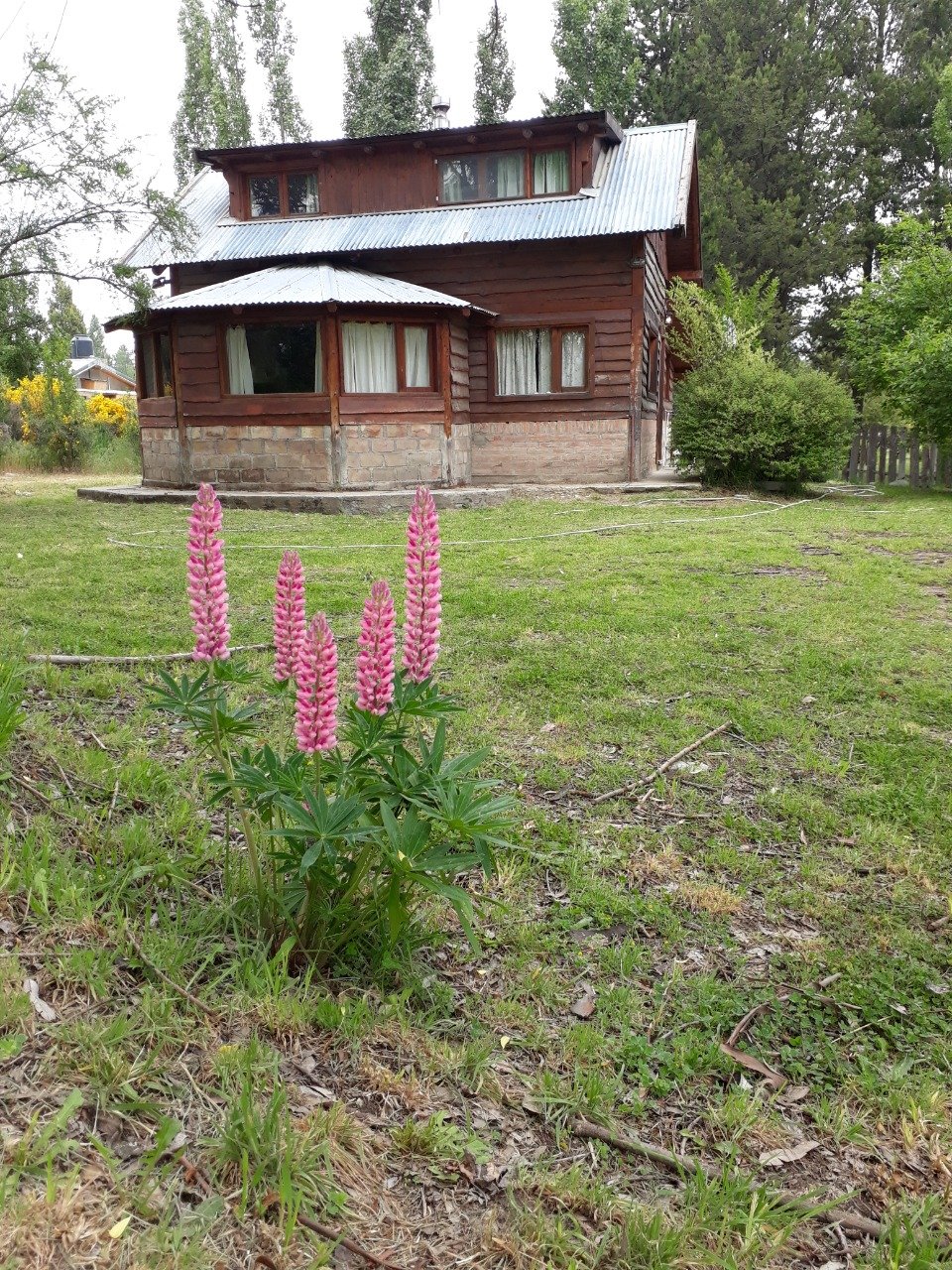 La Paz - foto 2