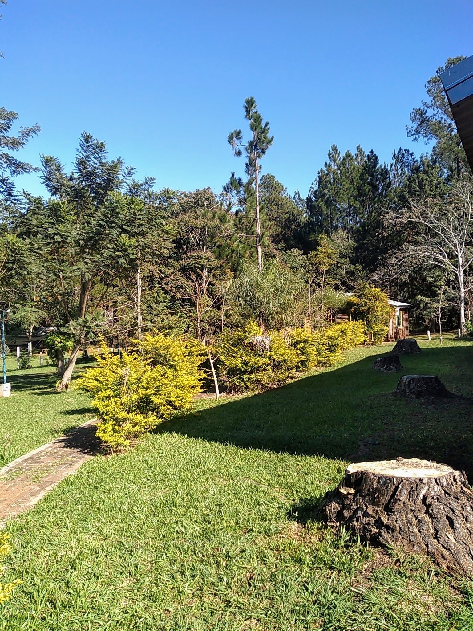 Ecolodge La Agustina Cabaña 4 - foto 11