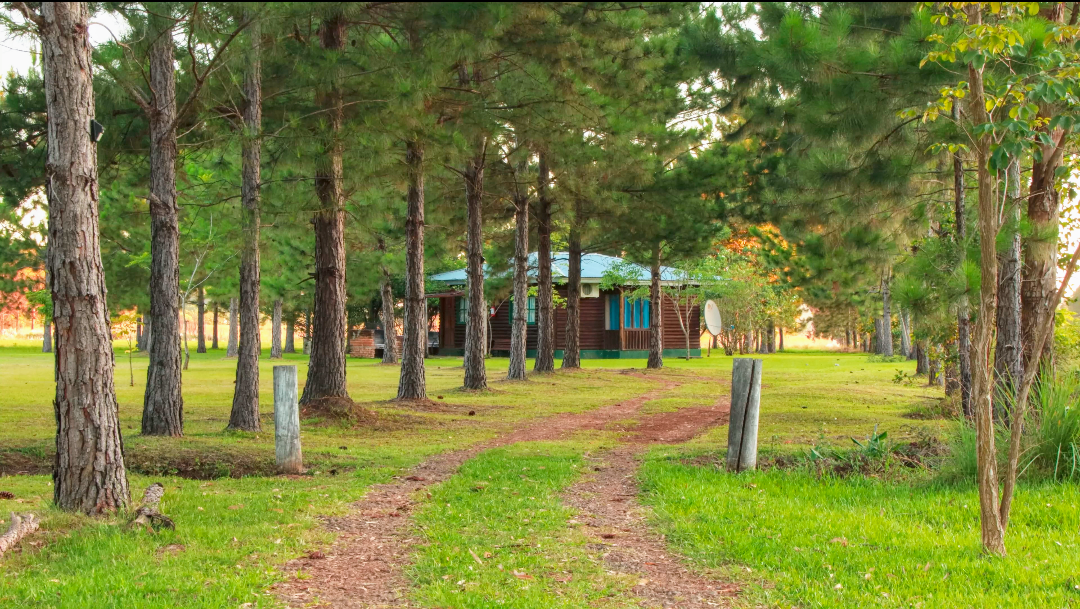 Ecolodge La Agustina Cabaña 5