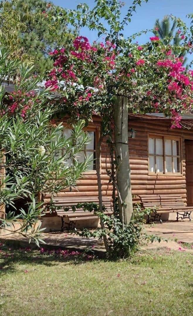 Ecolodge La Agustina Cabaña 7 - foto 14