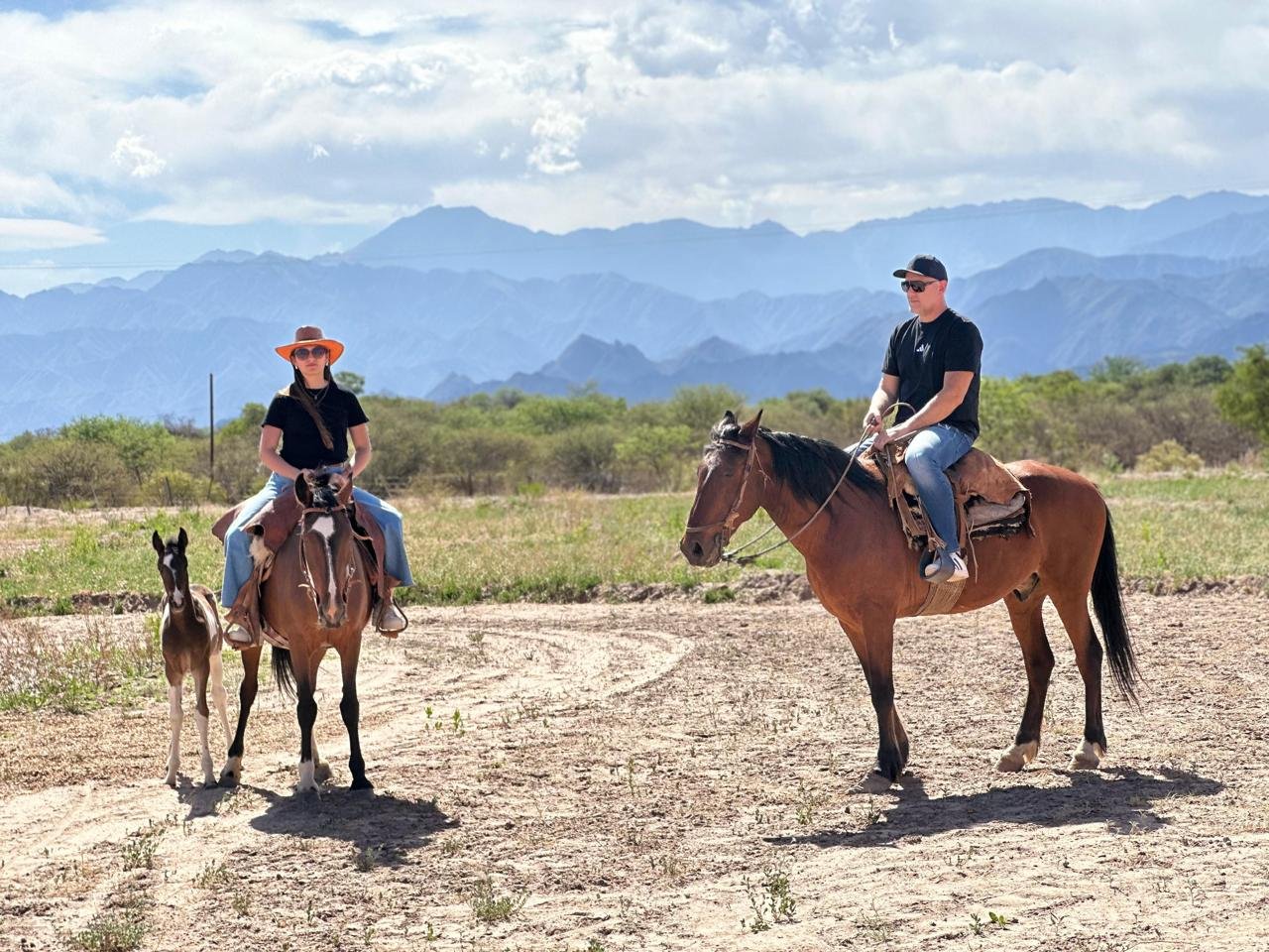 Eco lodges- campos de artaza - foto 4