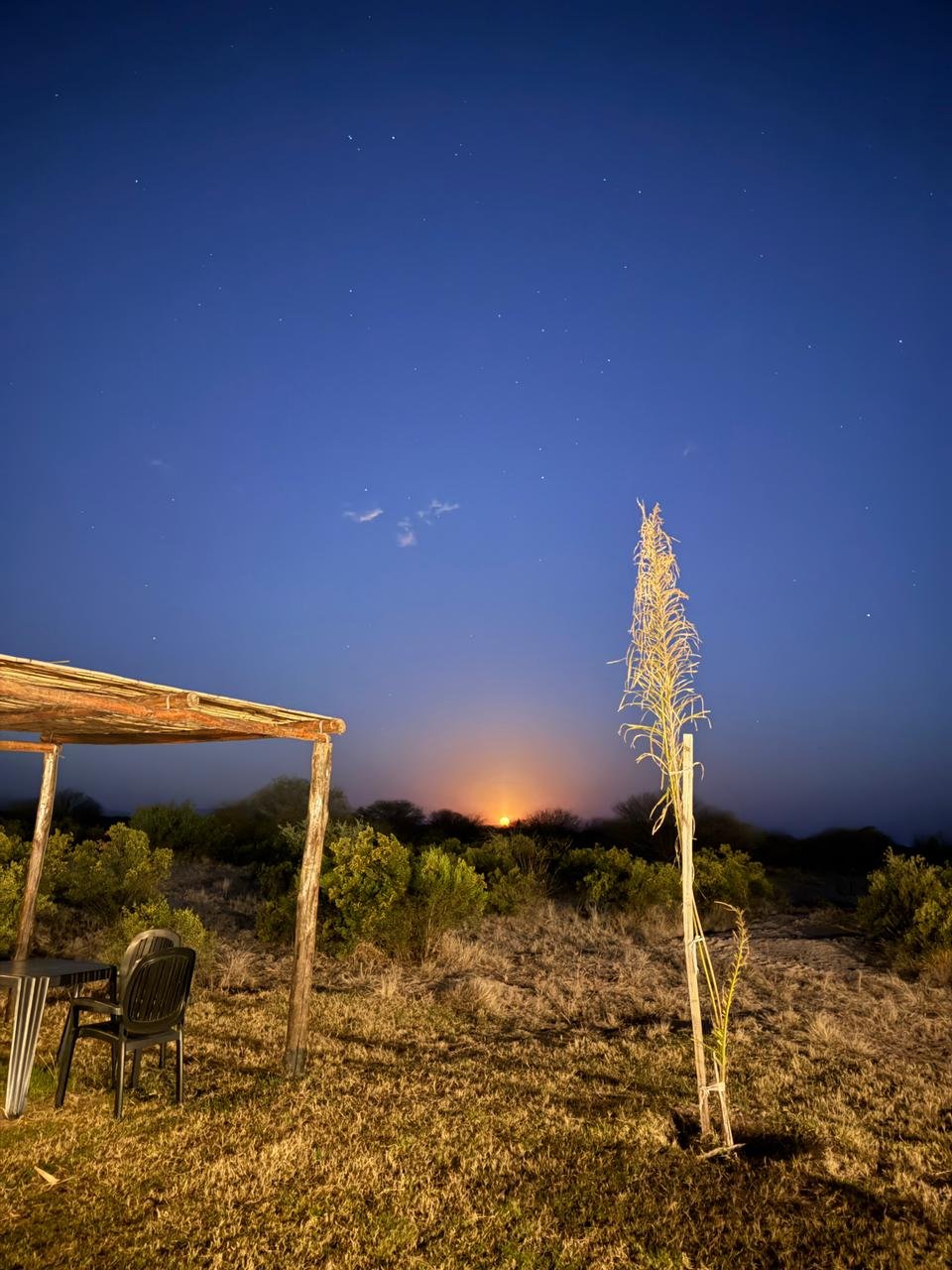 Eco Lodge Campos de Artaza - foto 6