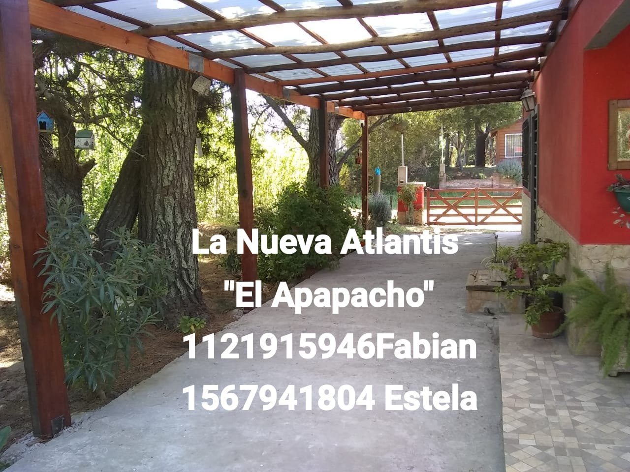 El Apapacho - foto 6