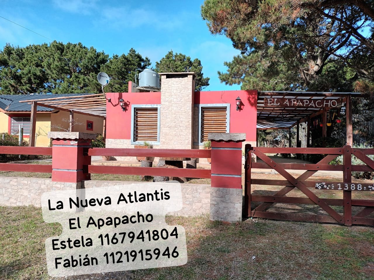 El Apapacho - foto 7
